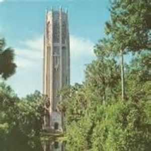 Meet your Posher, Trisha